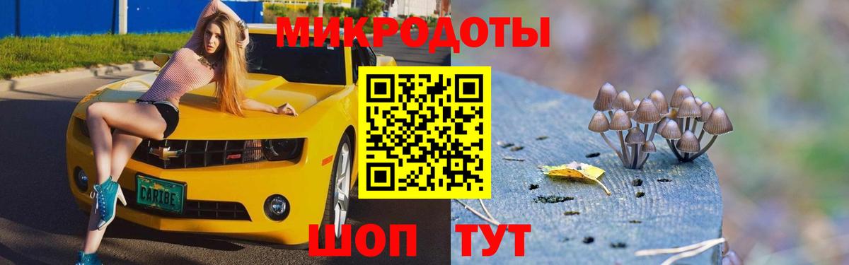 Галлюциногенные грибы GOLDEN TEACHER  Псилоцибиновые грибы мухоморы  купить наркотики сайты  Сосновый Бор  Вход с VPN 